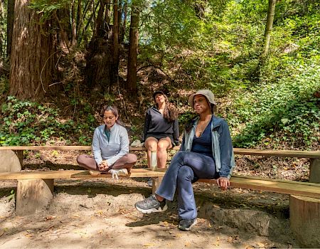Three friends relax on a wooden bench in a lush forest, surrounded by tall trees and green foliage, taking a peaceful break.