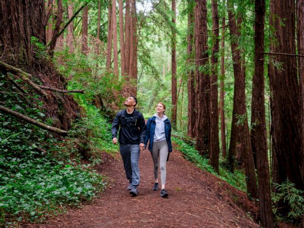 Two hikers walk along a forest trail through tall redwoods, looking up at the green canopy and misty light.