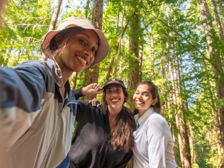 Three friends smile together in a sunny forest as one takes a friendly selfie, with tall trees all around.