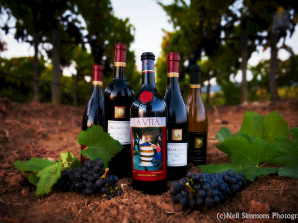 Bottles of wine are displayed among grapevines, with clusters of grapes and leaves placed in front; photo credit to Neil Simmons Photography.