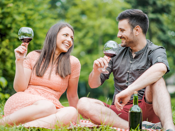 A couple is sitting on a picnic blanket outdoors, each holding a glass of wine, smiling and enjoying each other's company.