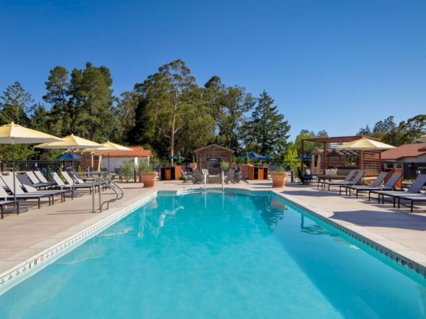 A serene outdoor pool surrounded by lounge chairs and shaded by umbrellas, set amidst a backdrop of trees under a clear blue sky.