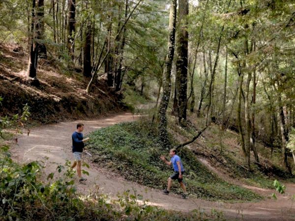 Two people are on a forest trail; one is standing while the other is walking uphill, surrounded by trees and greenery.