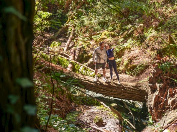 Two hikers walk hand-in-hand along a dirt trail, crossing a fallen log through a lush green forest, smiling together.
