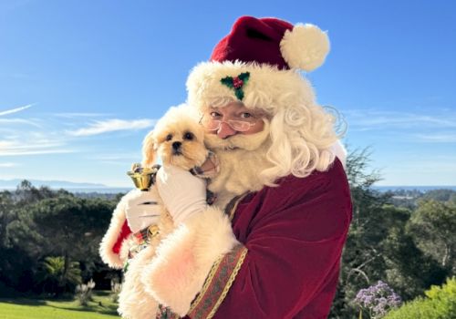 A person dressed as Santa Claus is holding a small, fluffy dog outside in a sunny landscape, creating a festive and cheerful scene.