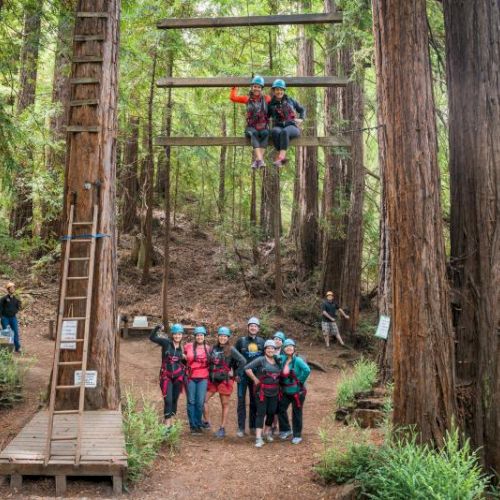 A group of hikers stands amid tall trees on a forest trail, wearing backpacks and bright gear. Top it at 140 characters, always ending the sentence.