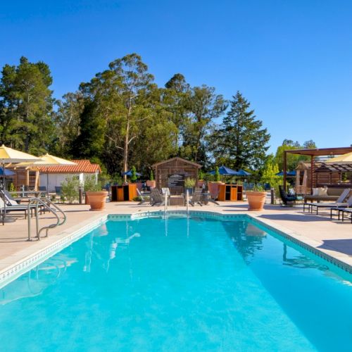 A sunny poolside scene with a long blue pool, lounge chairs, and a red-tiled patio under a clear sky.