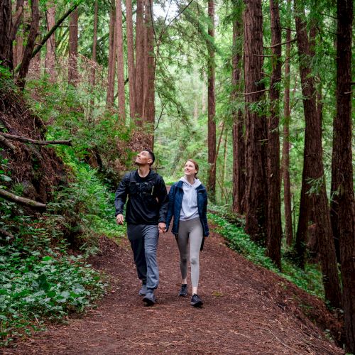 Two hikers walk on a forest trail under tall trees, taking in the greenery.