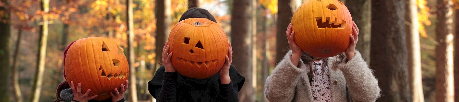 In a fall forest, three people in coats hold carved jack-o’-lantern pumpkins over their faces.