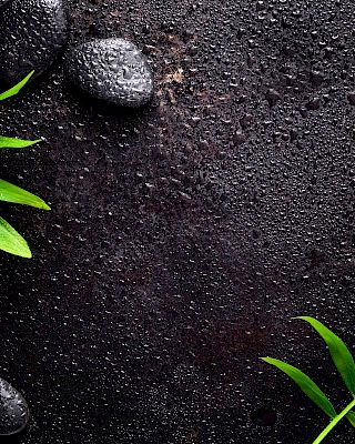Wet black stones and green leaves on a textured dark surface, creating a spa-like, natural atmosphere.