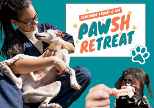 A person holds a happy dog, with a logo reading "Pawsh Retreat" for Chaminade Resort & Spa; another dog licks a treat.