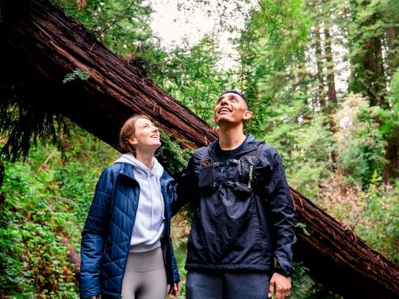 Two people are looking up while standing in a forest with lush green trees and a fallen trunk behind them.