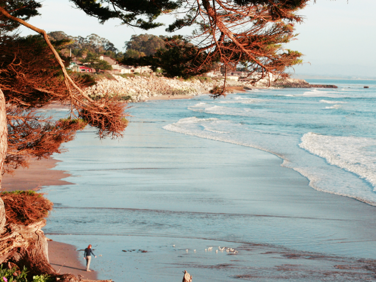 A tranquil beach scene with gentle waves, framed by trees, and a person near the shore, creating a peaceful atmosphere.
