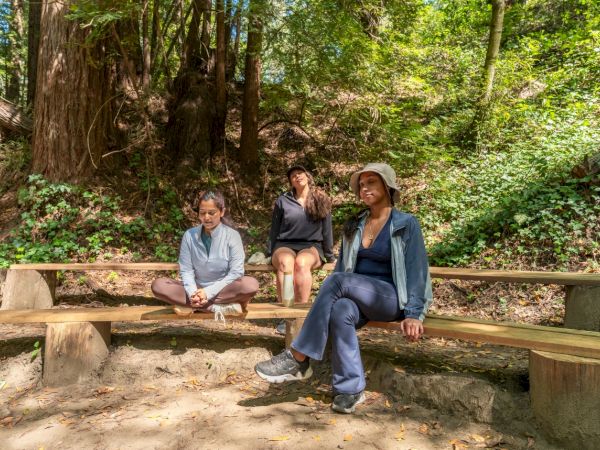Three women relax on a wooden bench in a lush forest, posing and chatting together.